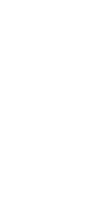 自然の景色が 創り出す芸術